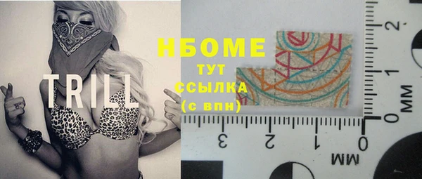 ГАЛЛЮЦИНОГЕННЫЕ ГРИБЫ Вяземский
