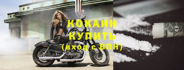 ГАЛЛЮЦИНОГЕННЫЕ ГРИБЫ Вяземский