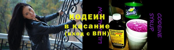 ГАЛЛЮЦИНОГЕННЫЕ ГРИБЫ Вяземский