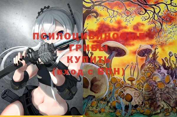 ГАЛЛЮЦИНОГЕННЫЕ ГРИБЫ Вяземский