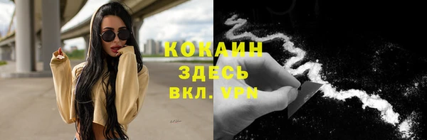 ГАЛЛЮЦИНОГЕННЫЕ ГРИБЫ Вяземский