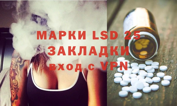 ГАЛЛЮЦИНОГЕННЫЕ ГРИБЫ Вяземский