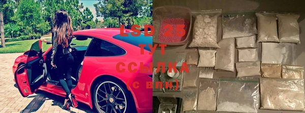 ГАЛЛЮЦИНОГЕННЫЕ ГРИБЫ Вяземский