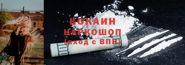 ГАЛЛЮЦИНОГЕННЫЕ ГРИБЫ Вяземский