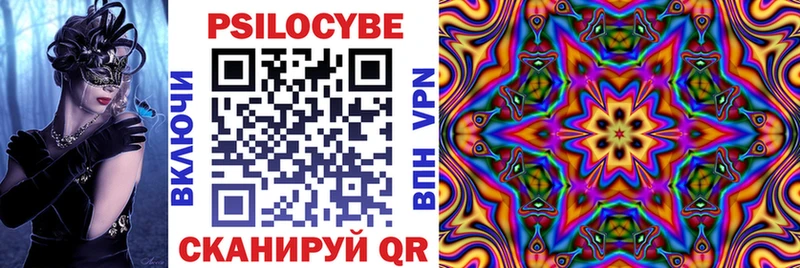 Купить закладки  Бирюч  Псилоцибиновые грибы Magic Shrooms 